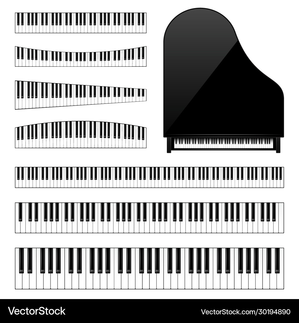 Realistic piano keys set musical instrument vector image