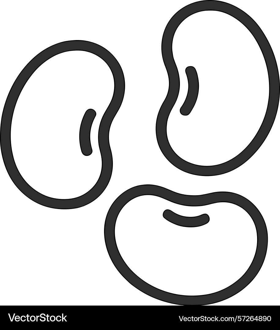 Three kidney beans displayed in a simple line art Three kidney beans displayed in a simple line art vector image