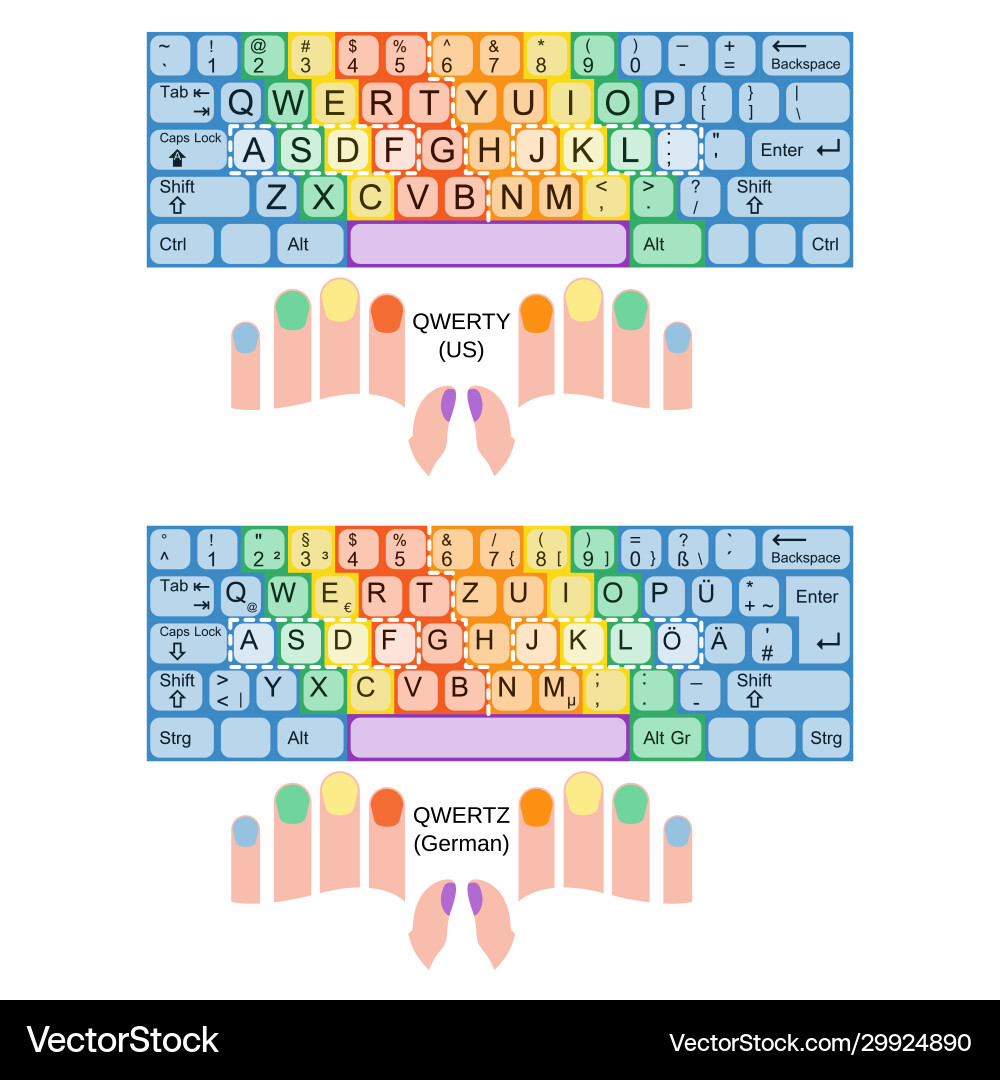 Touch Typing Keyboard Layout Chart vector image