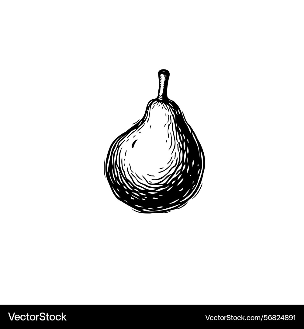 Monochrome pear with rustic charm and handcrafted Vector Image