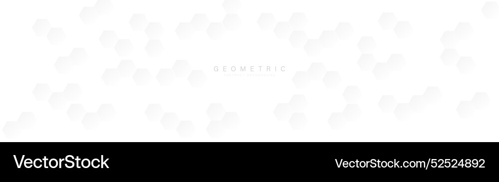 Abstract clean white hexagon shapes pattern Abstract clean white hexagon shapes pattern vector image