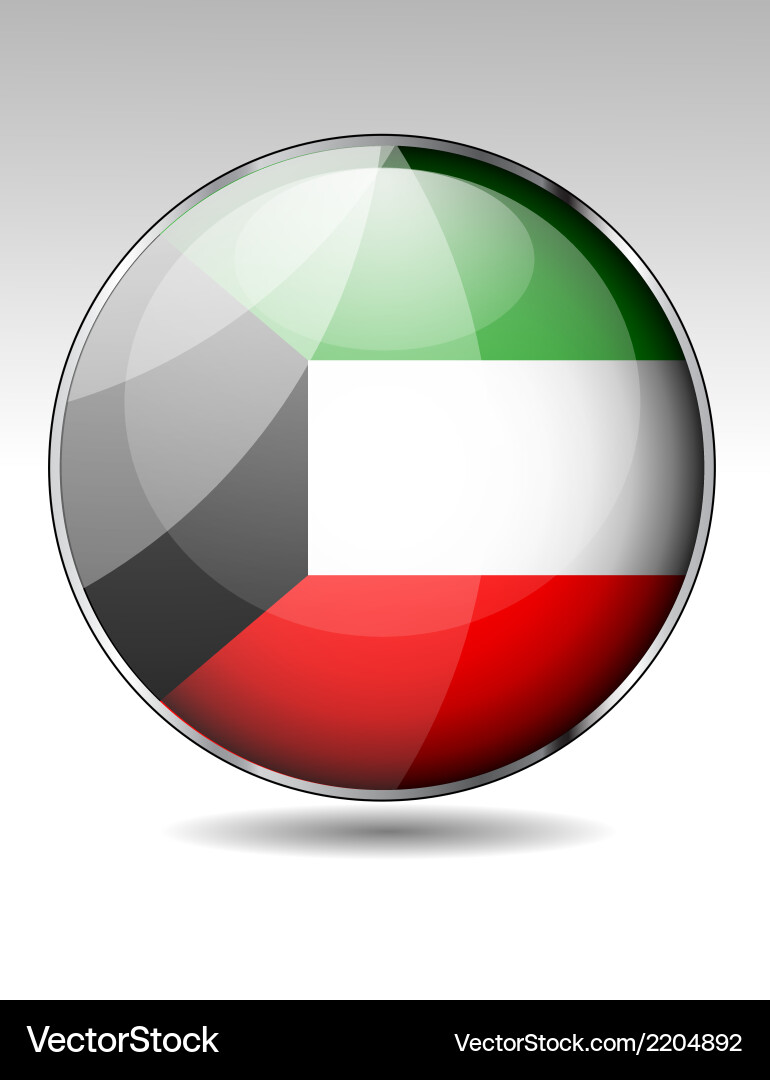 Flag button design elements Vector Image