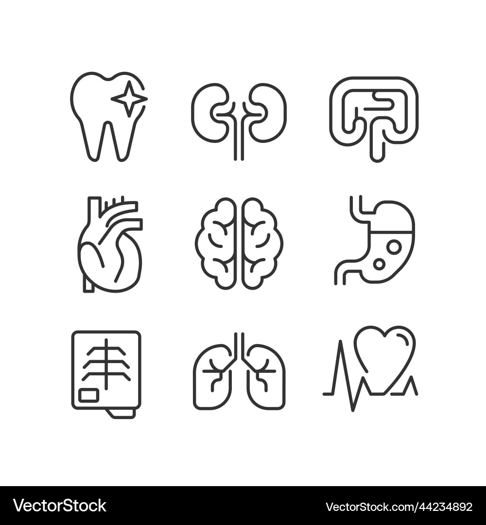 Organs regular checkup pixel perfect linear icons vector image