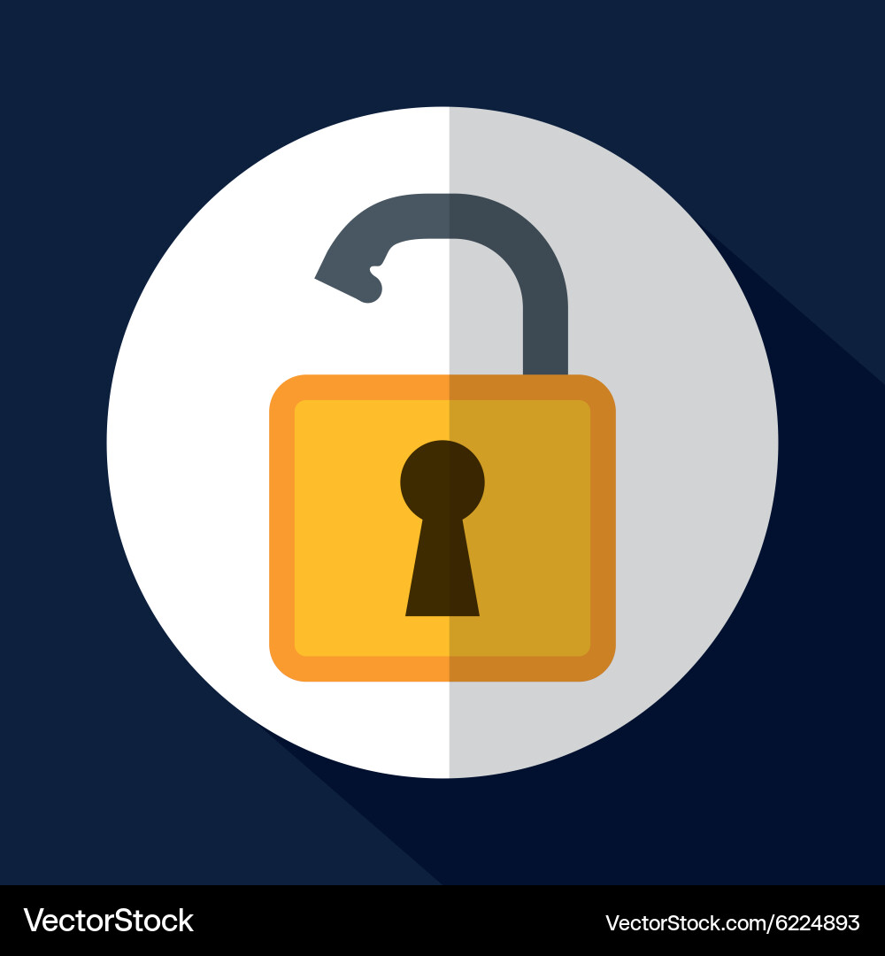 Digital fraud and hacking design vector image