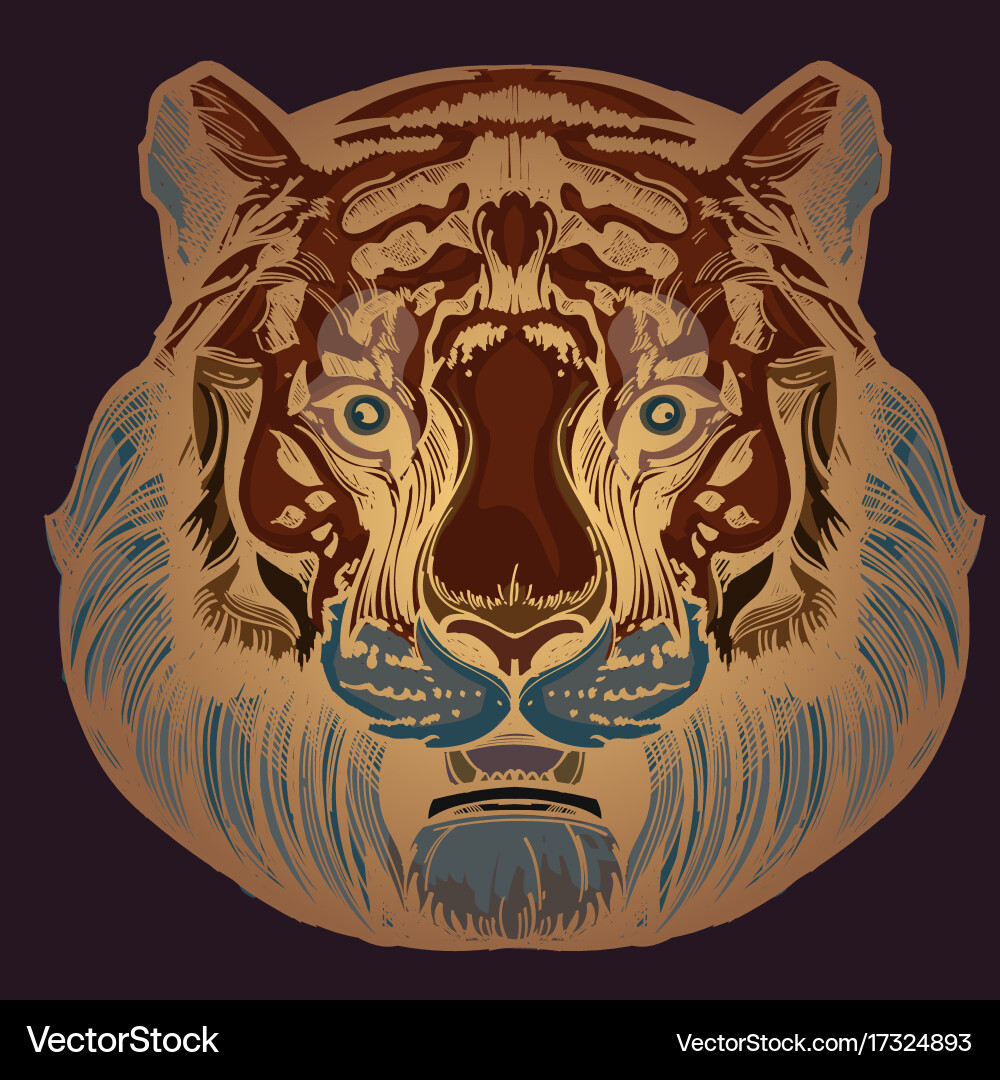 Muzzle of a tiger for creating sketches vector image