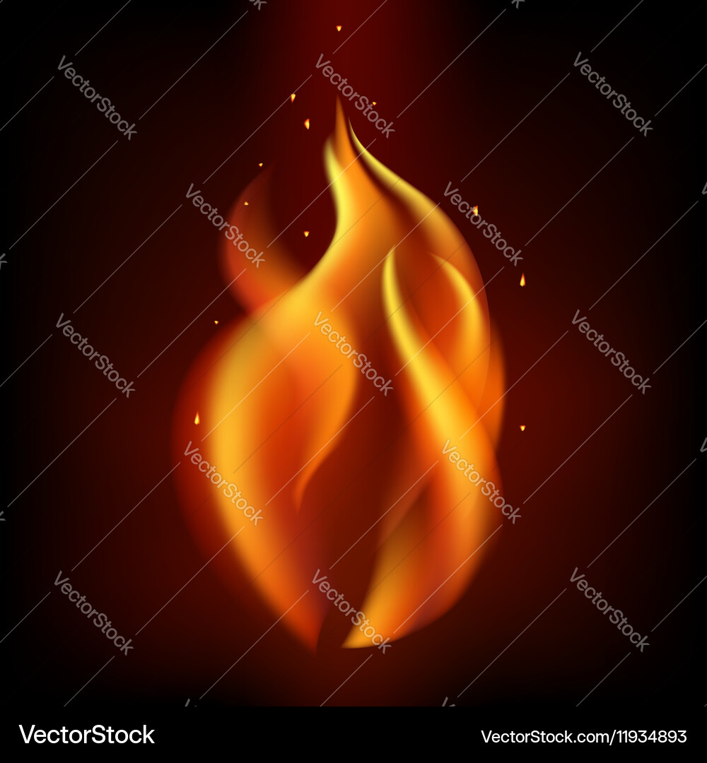 Rote Flamme auf schwarzem Hintergrund Vektorbild