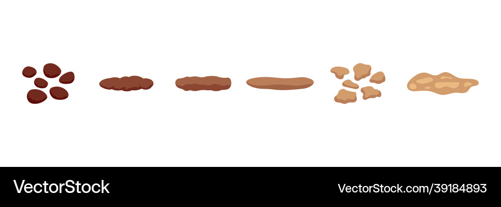 Stool faeces type classification structure Stool faeces type classification structure Vector Image