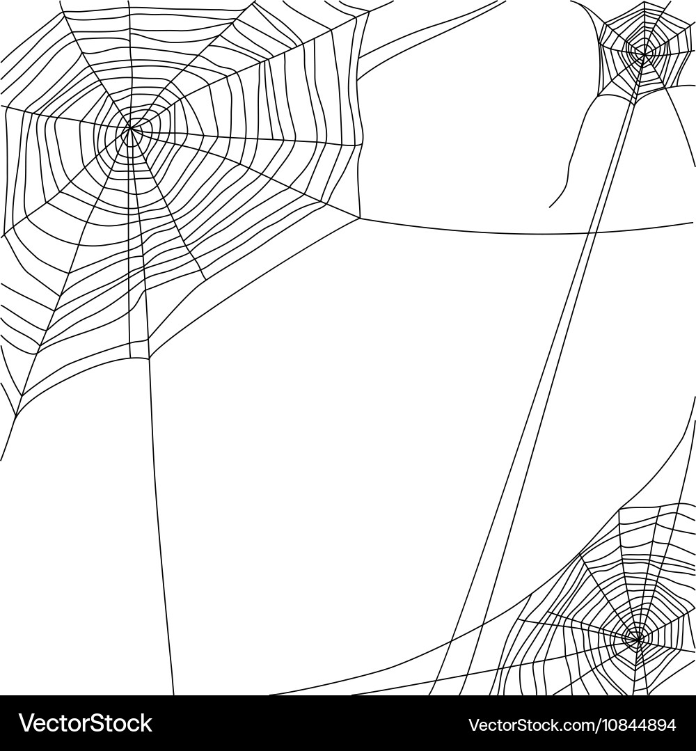 Cobweb Vector Image