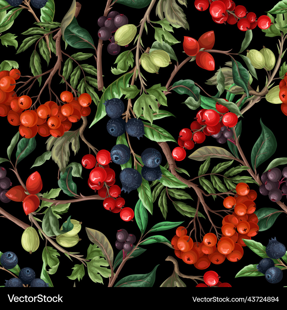 Seamless pattern with berries such as rowan Seamless pattern with berries such as rowan vector image