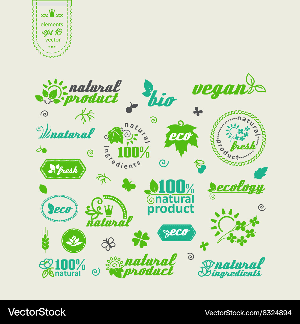 Set of elements for design Vector Image