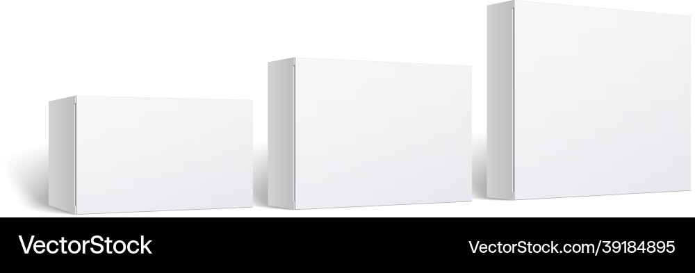 Realistic white package box for software Vector Image