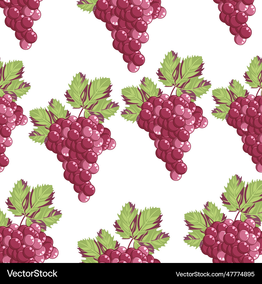 Seamless pattern of red grapes Vector Image