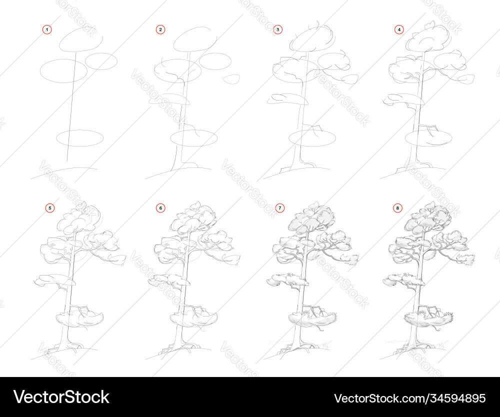 Step-by-Step Pine Tree Drawing Tutorial vector image