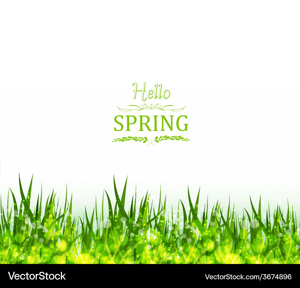 Hello spring background with grass vector image