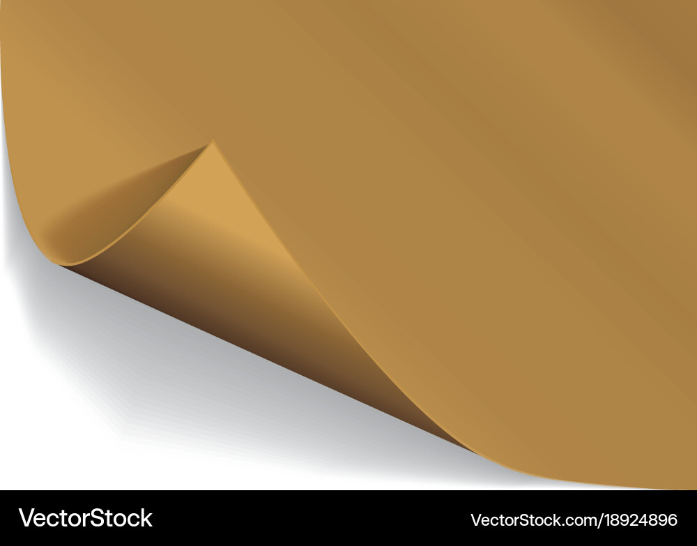 Page curl with shadow on a blank sheet of paper Vector Image