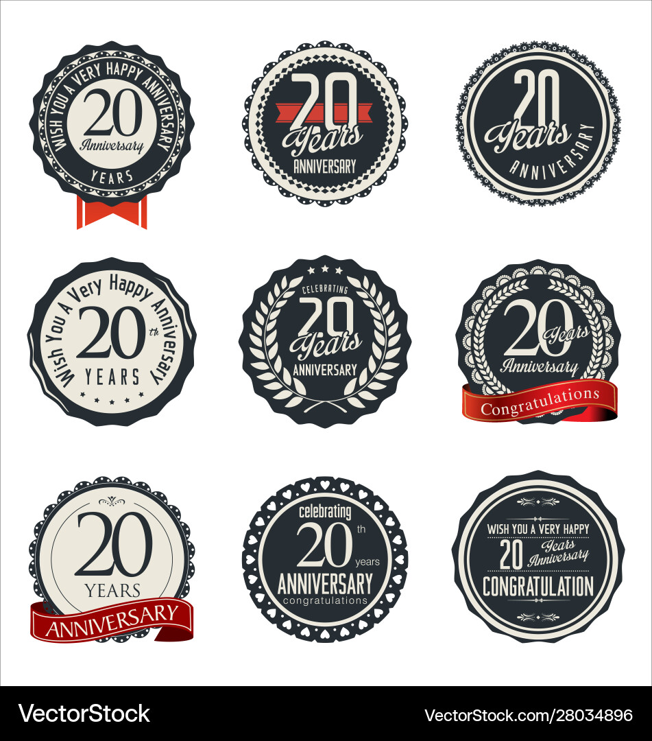 Retro Anniversary Badge Set - 20 Years Vector Image