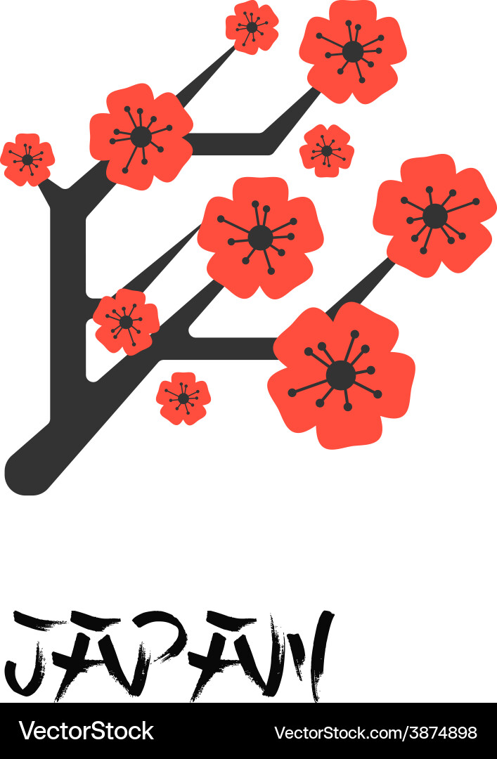 Silhouette branches sakura - drawing Vector Image