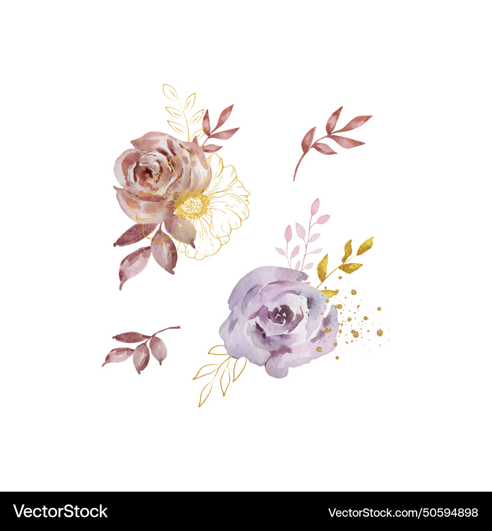 Watercolor set of bouquets dark roses Vector Image