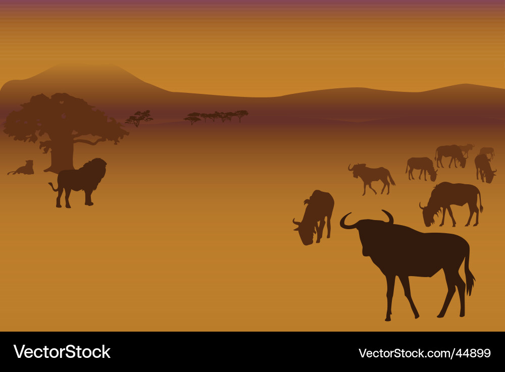 Savannah Sunset Silhouette Vector Image