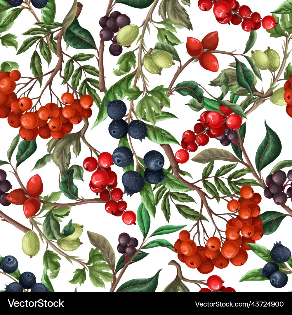 Seamless pattern with berries such as rowan Seamless pattern with berries such as rowan Vector Image