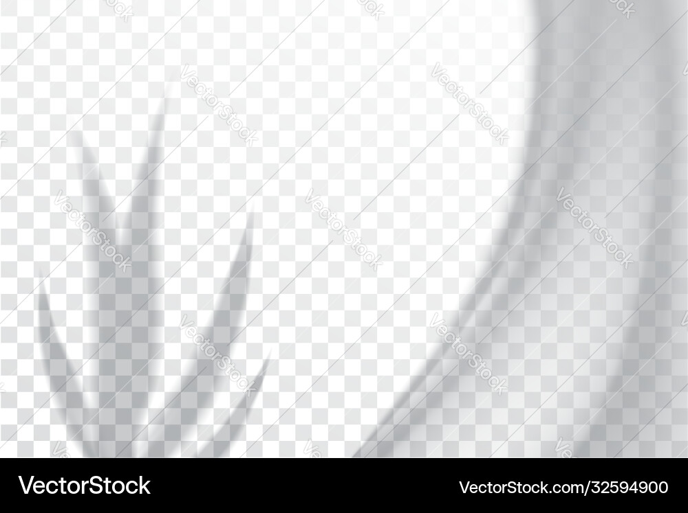 Shadow overlay effects mock up window frame vector image