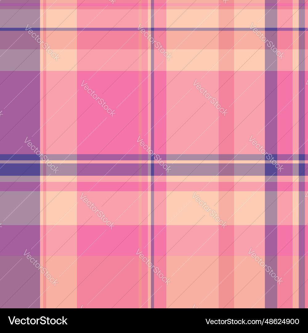 Texture check fabric of background textile Vector Image