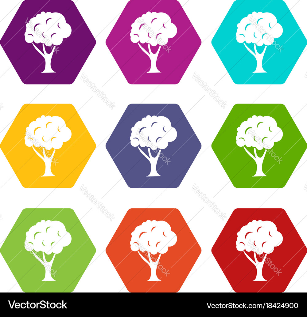 Tree icon set color hexahedron Vector Image
