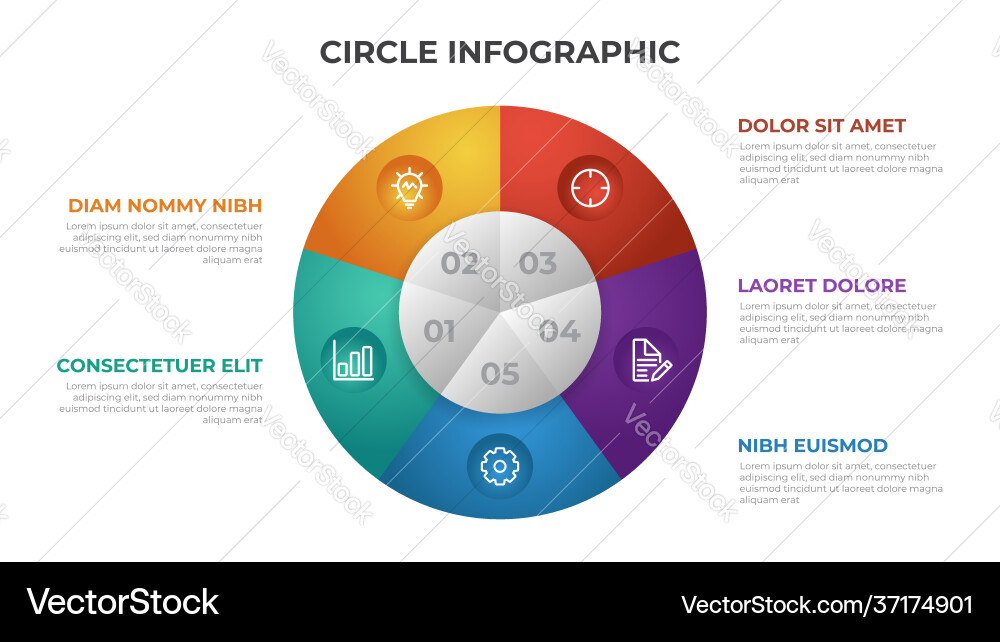 5 points infographic template with circle layout vector image