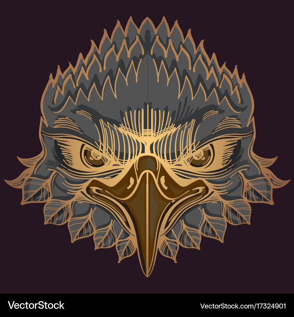 Muzzle of an eagle for creating sketches Vector Image