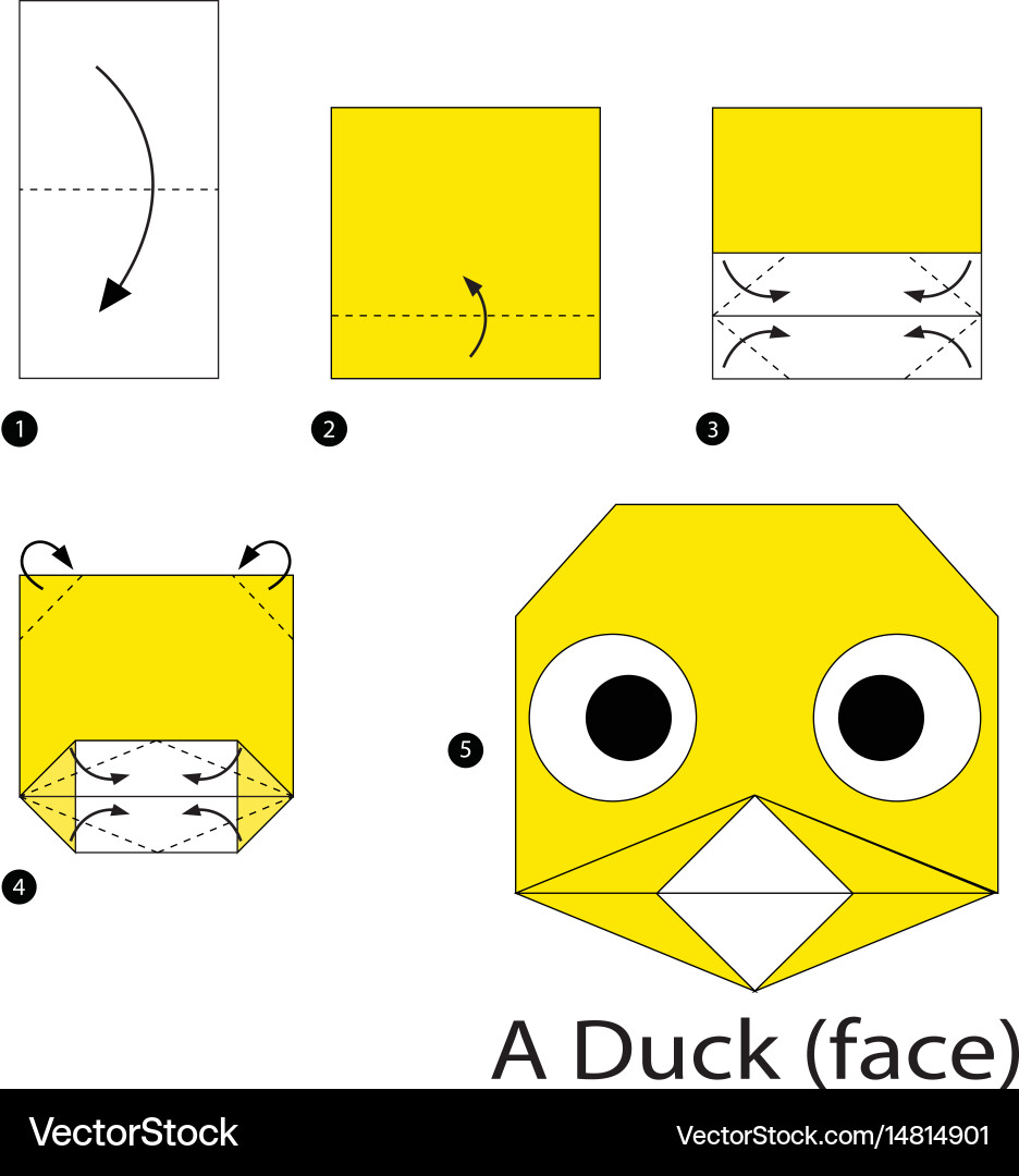 Step instructions how to make origami a duck vector image