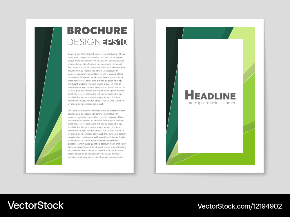 Abstract layout background set for art Vector Image