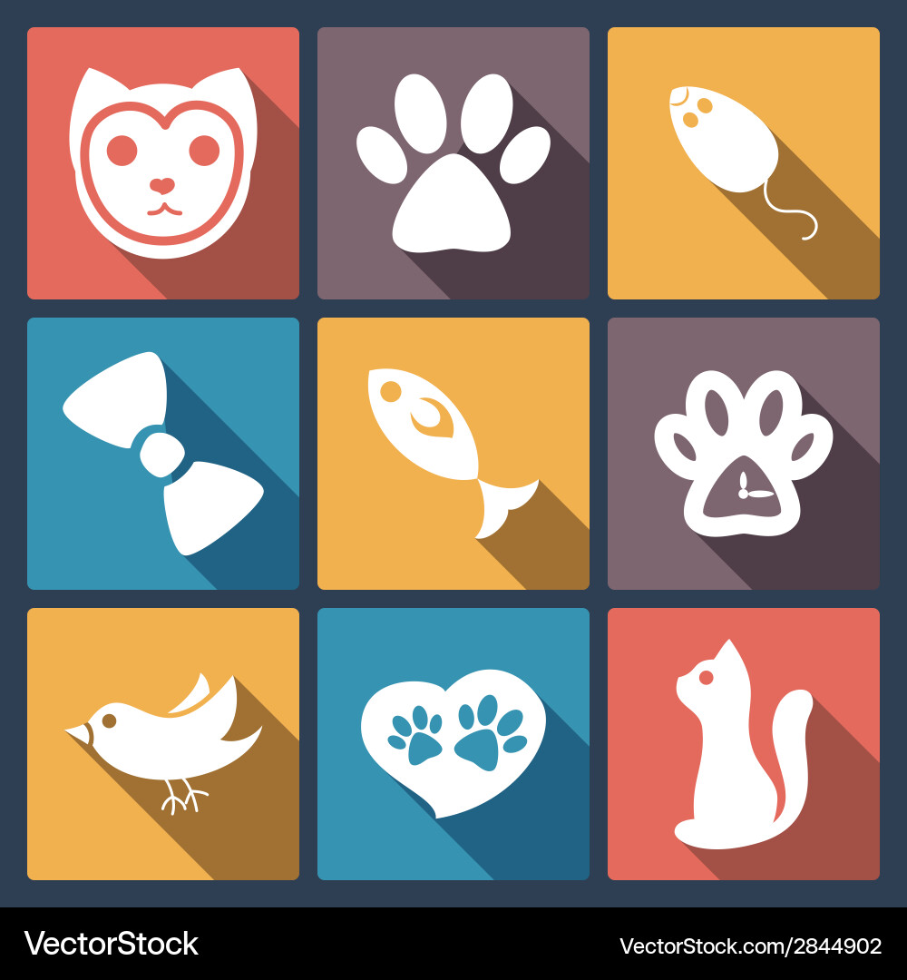 Flat cat icons set pet application icon in Vector Image