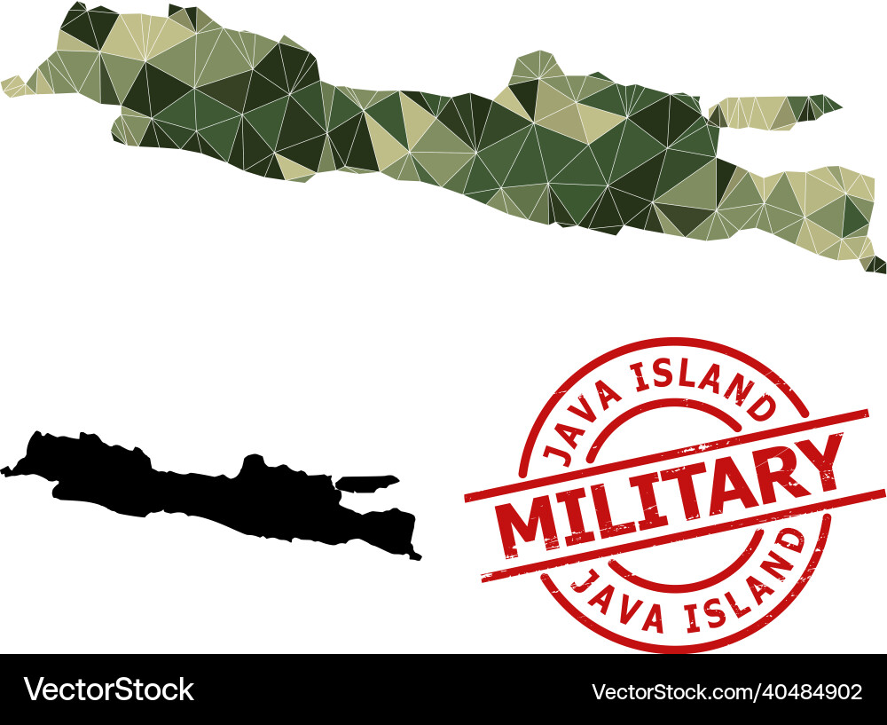 Polygonal mosaic map of java island and grunge Polygonal mosaic map of java island and grunge vector image