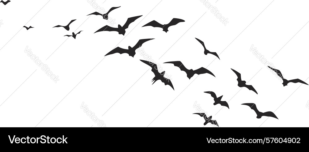 Smaller flock of birds in dynamic flight design Vector Image