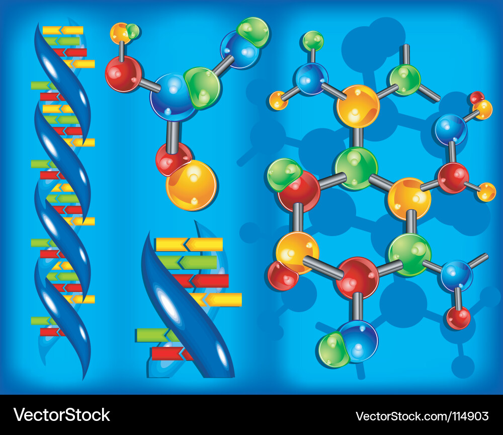 DNA Double Helix Molecule Vector Image