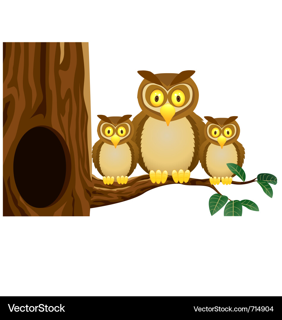 Adorable Owl Family Vector Image