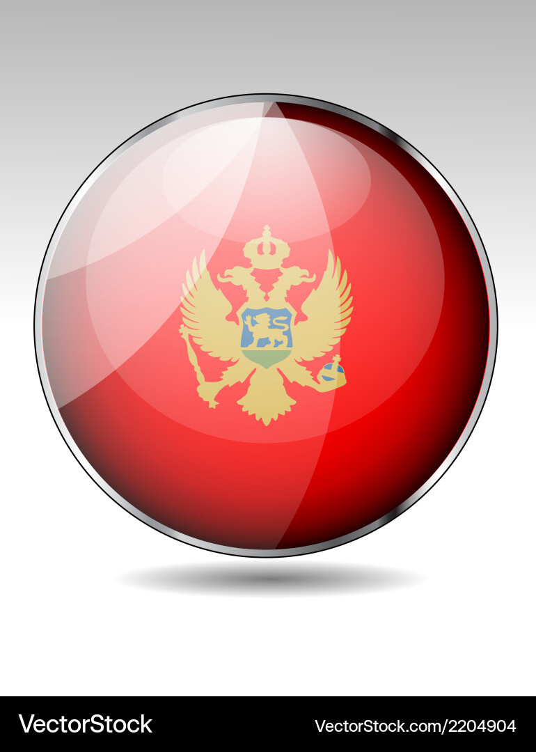 Flag button design elements vector image