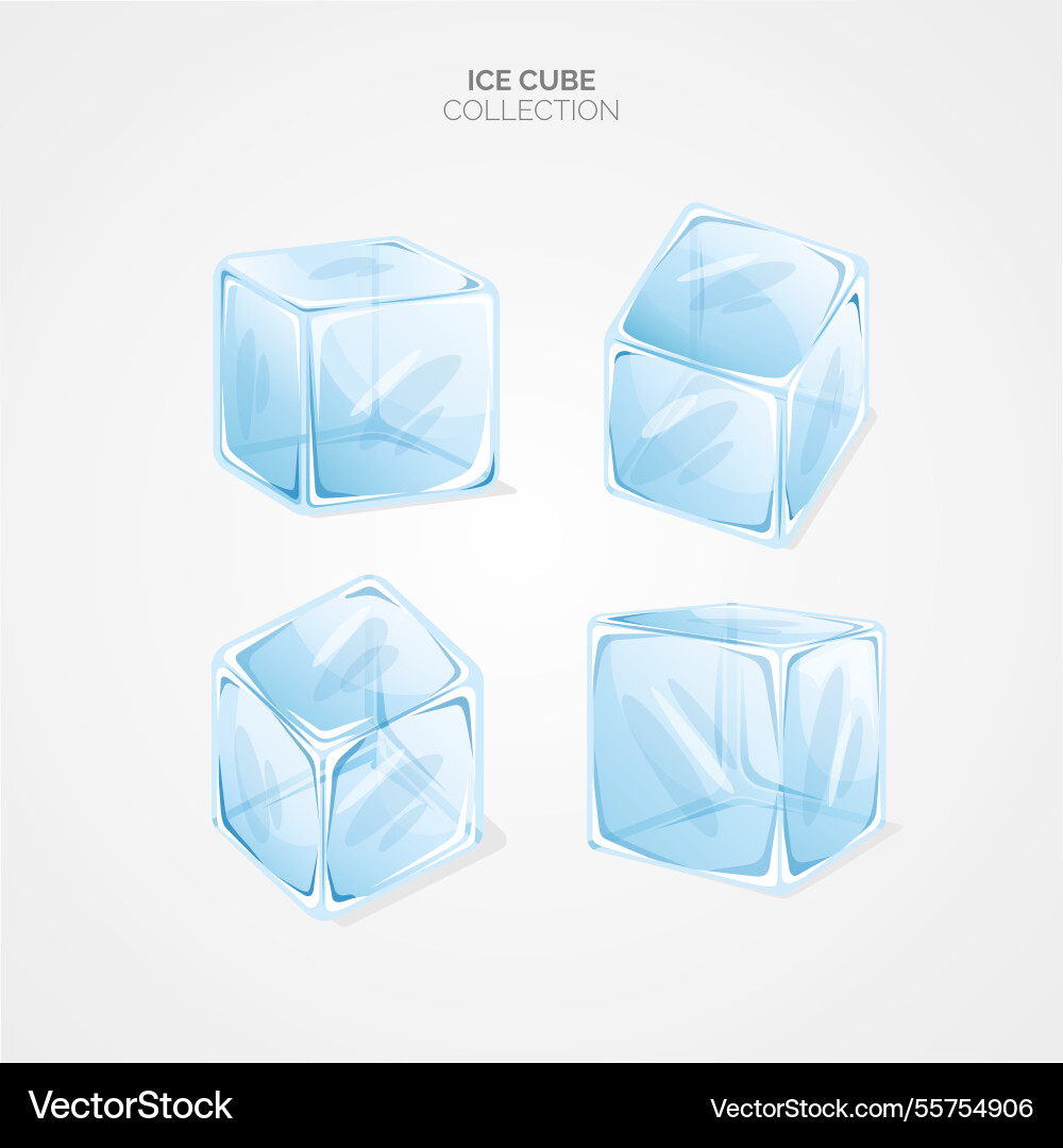 Ice cube collection with flat design vector image