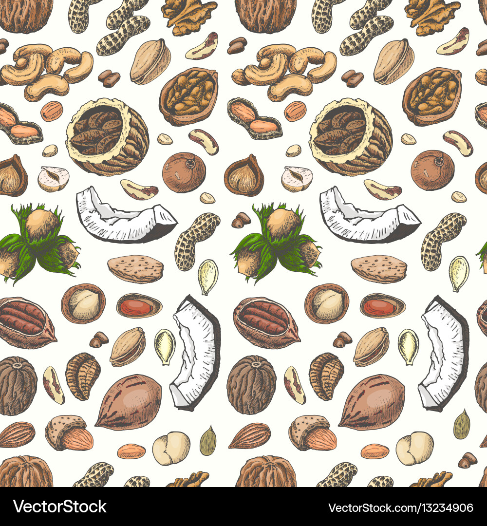 Seamless pattern with colored nuts and seeds vector image