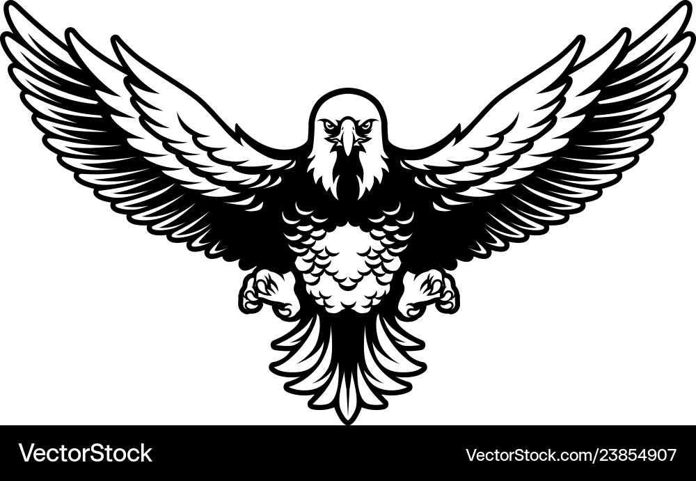 American Bald Eagle - Symbol of Freedom Vector Image