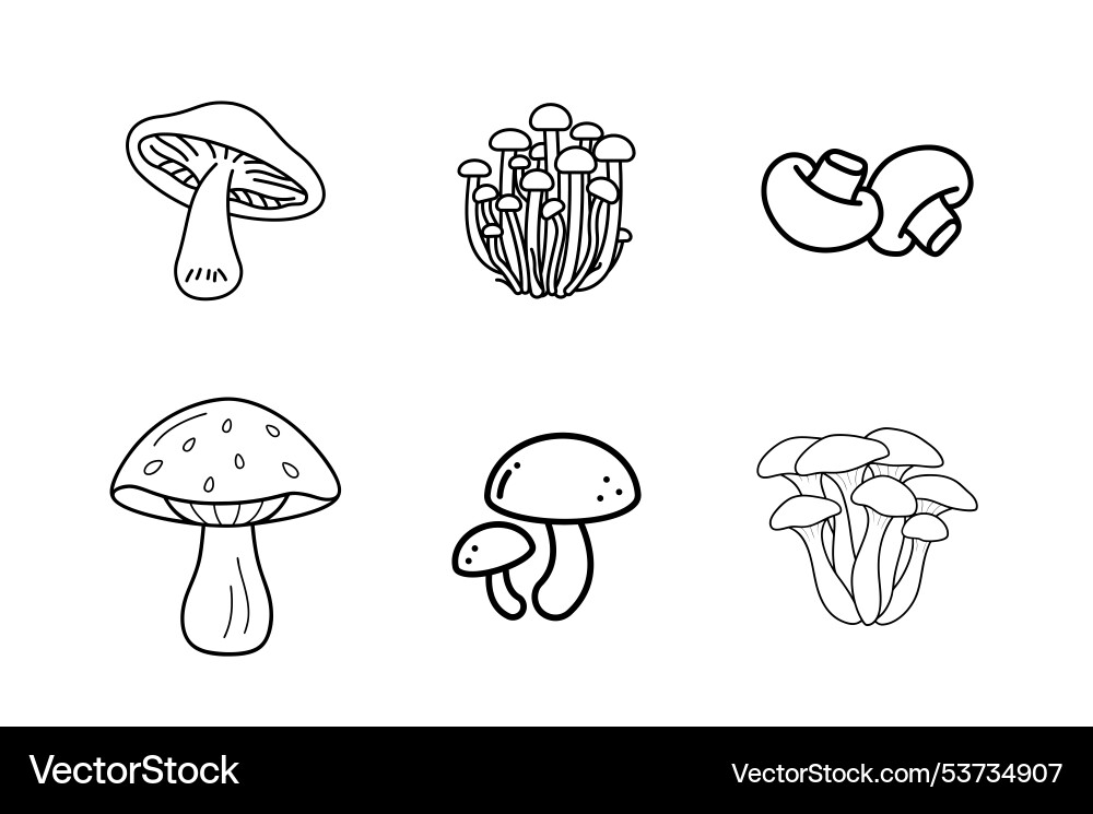 Different types of mushroom Vector Image