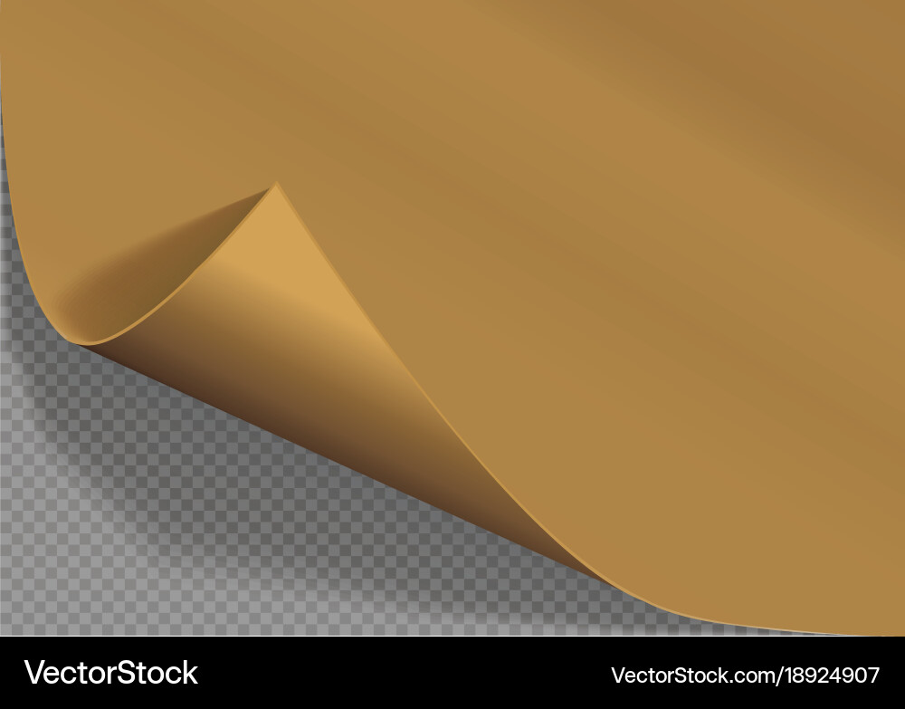 Page curl with shadow on a blank sheet of paper vector image