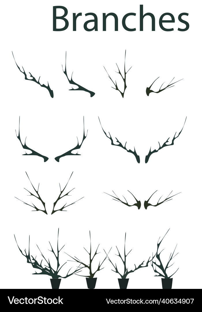 Tree branches set Vector Image