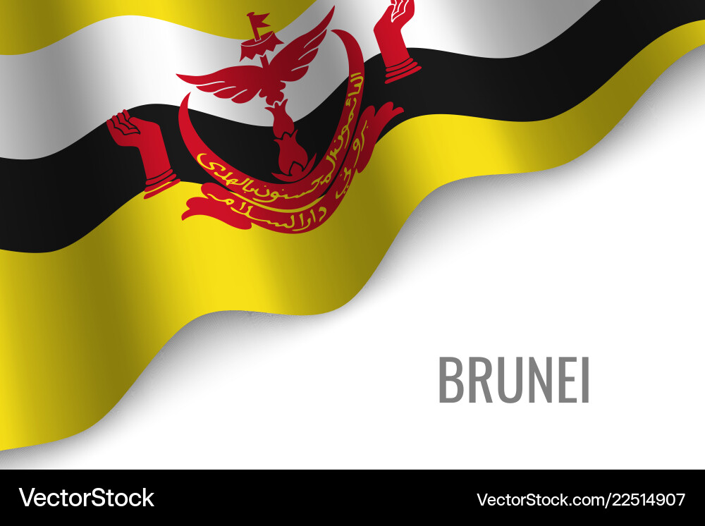 Waving flag with copyspace Vector Image