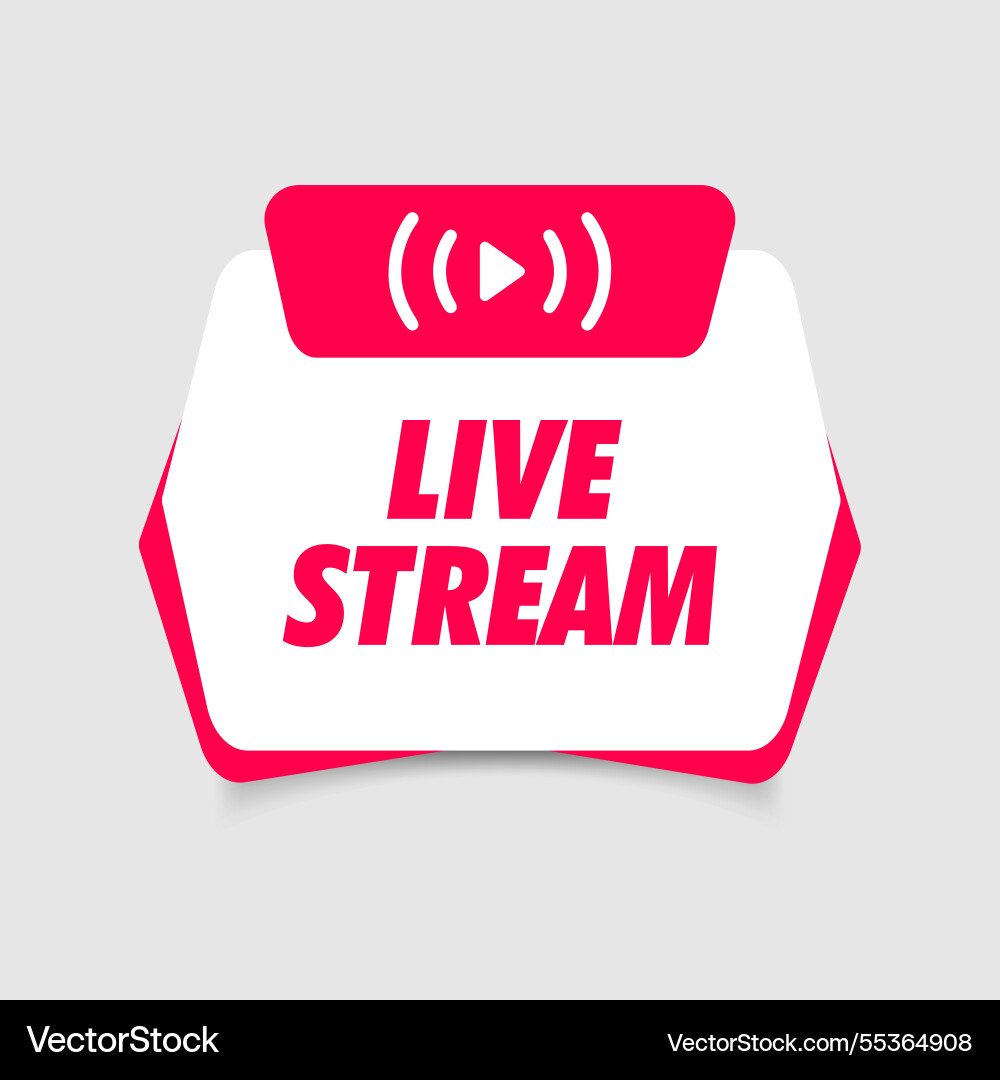 Live stream icon flat style with play button Live stream icon flat style with play button vector image