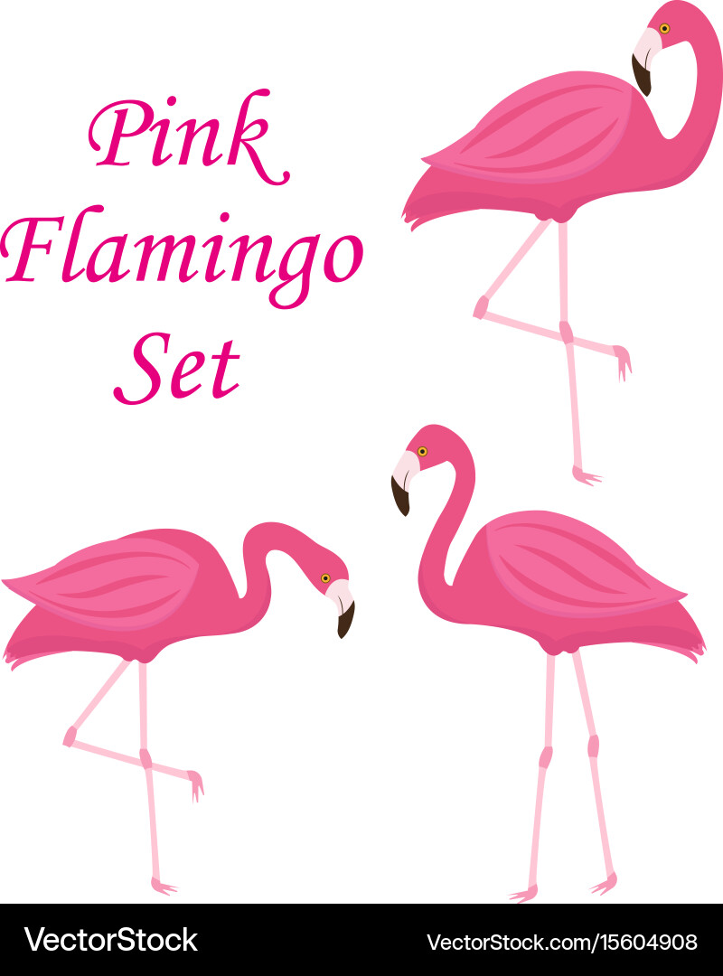 Pink flamingo set of objects isolated on white vector image