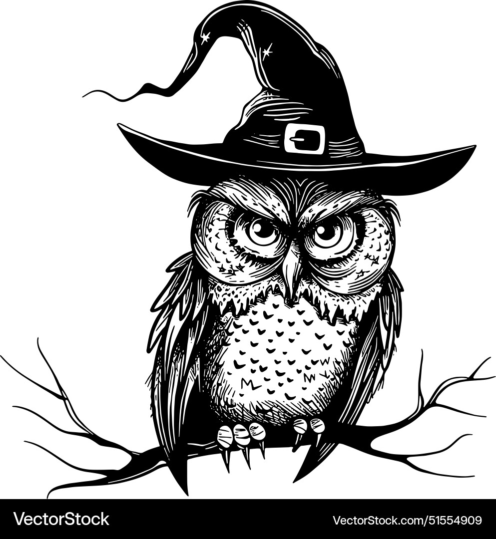 Owl wearing witch hat Royalty Free Vector Image