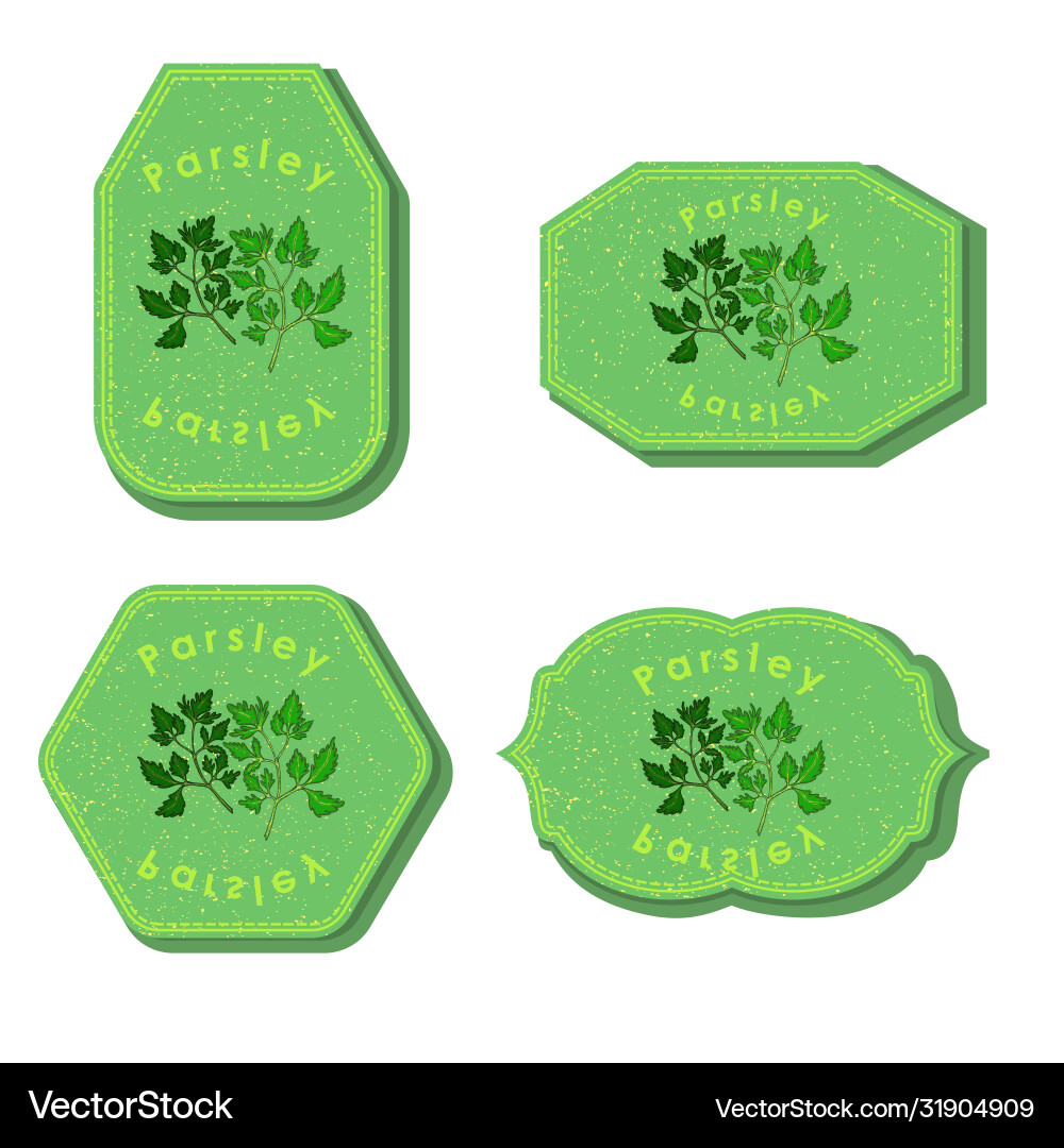 Set with four rectangular labels parsley vector image