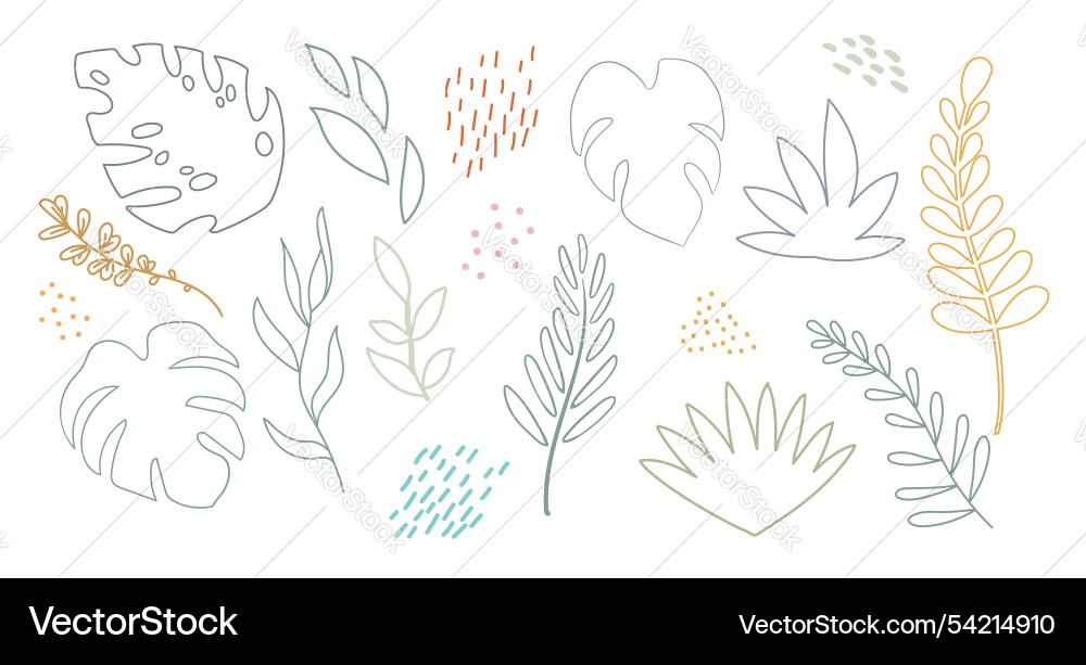 Abstract design elements set of contour exotic Vector Image