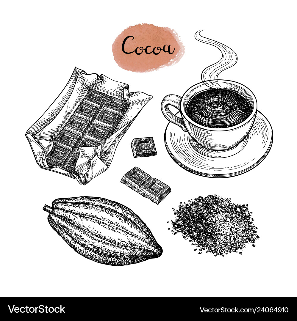 Cocoa and Chocolate Sketch Vector Image